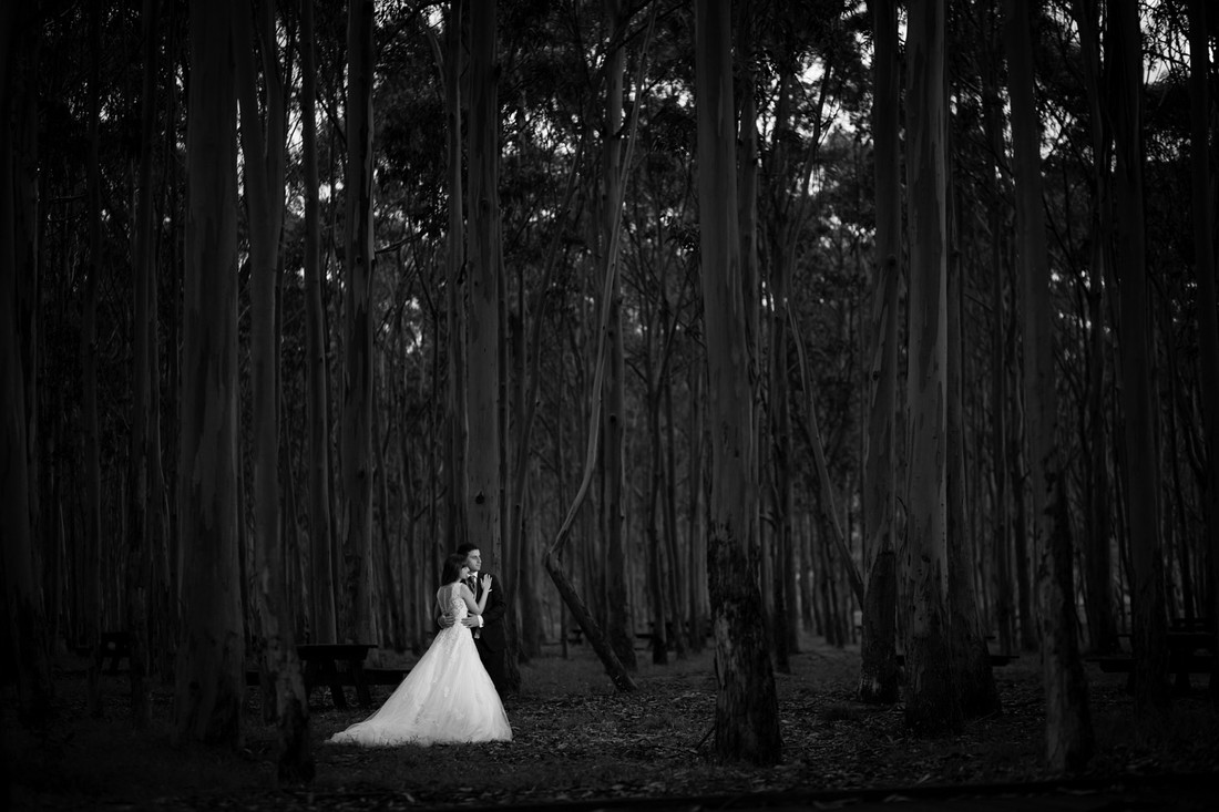 reportaje_boda_asturias_caliq_016