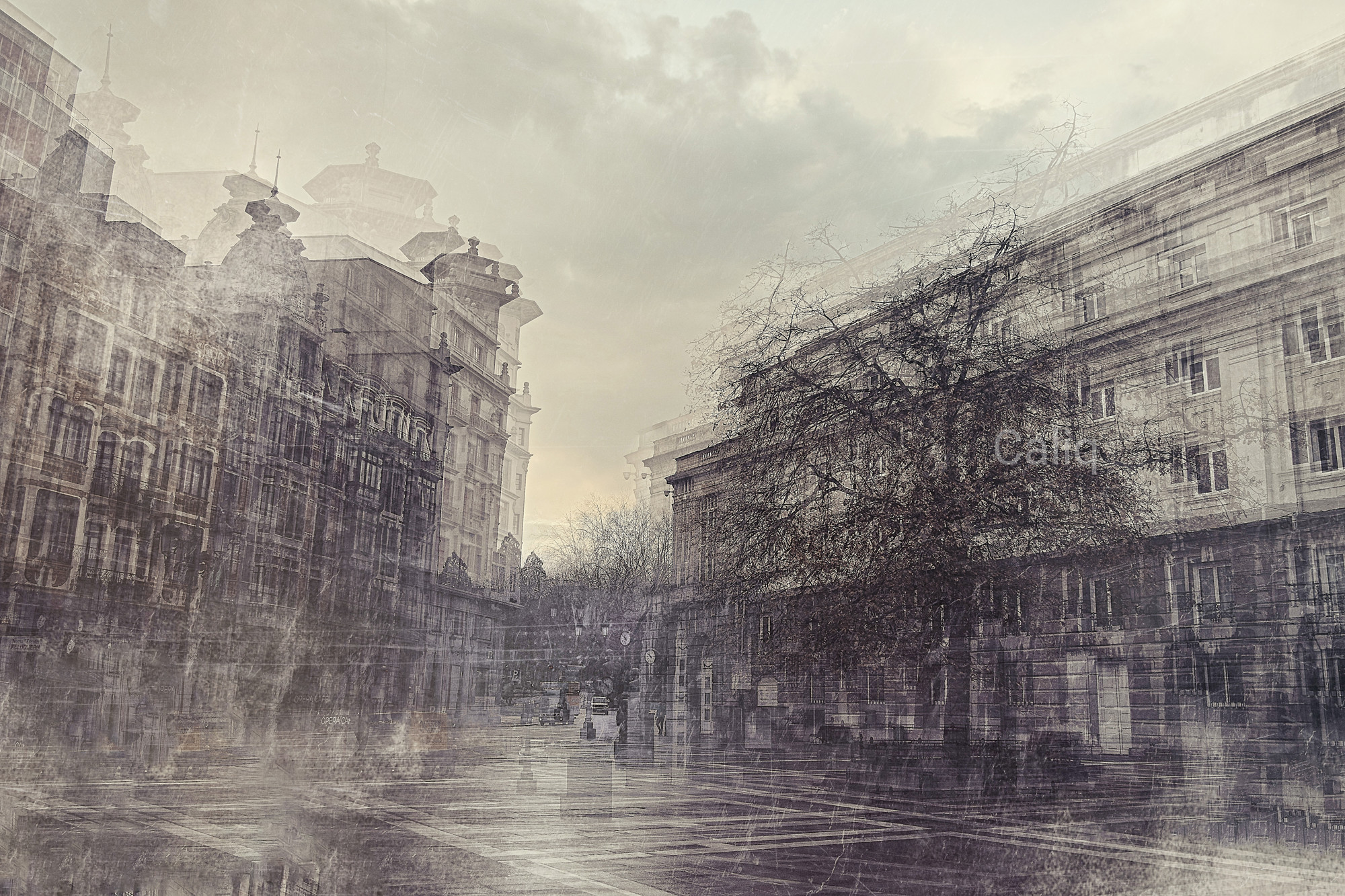 DSCF2460qjqttttjtjww